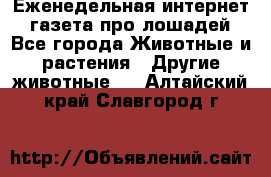 Еженедельная интернет - газета про лошадей - Все города Животные и растения » Другие животные   . Алтайский край,Славгород г.